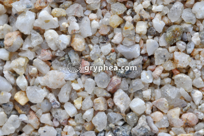 Sable de la Moselle x3 - gryphea.org